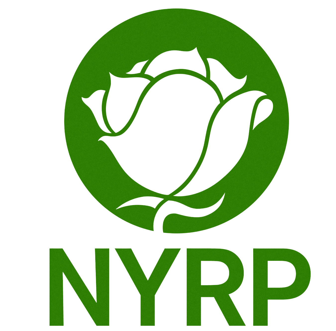 NY Restoration Project